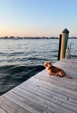 Peanut's pet