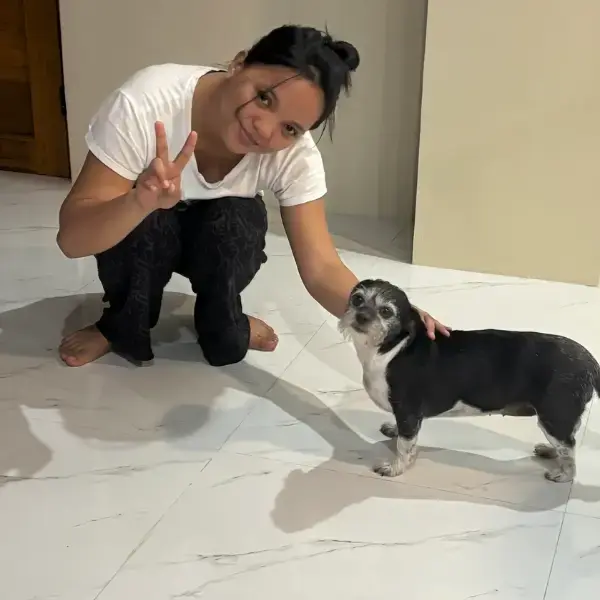 Lady's pet