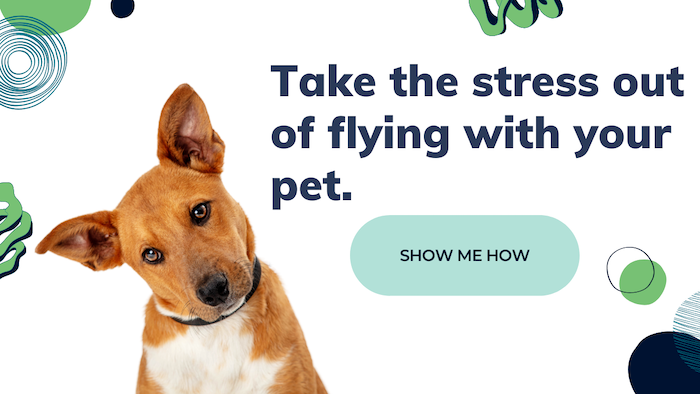 New Call-to-action