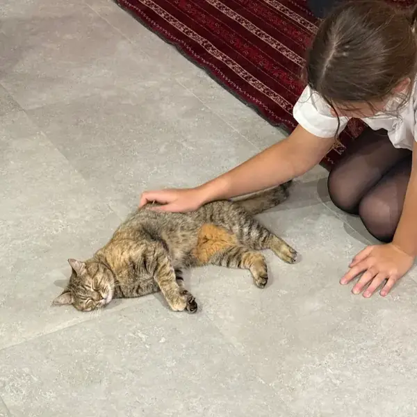 Pickles's pet
